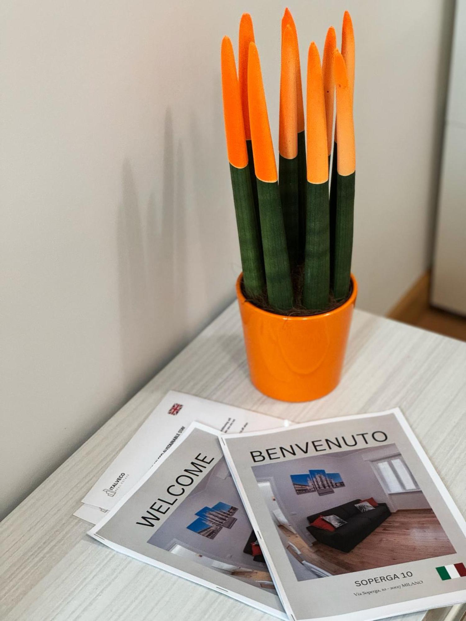Gohost - City Hideaway A Few Minutes From Milano Centrale Экстерьер фото